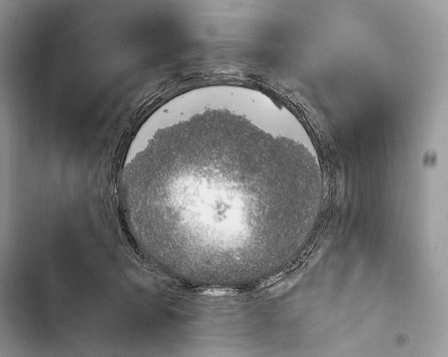 X0000103480415200810031547