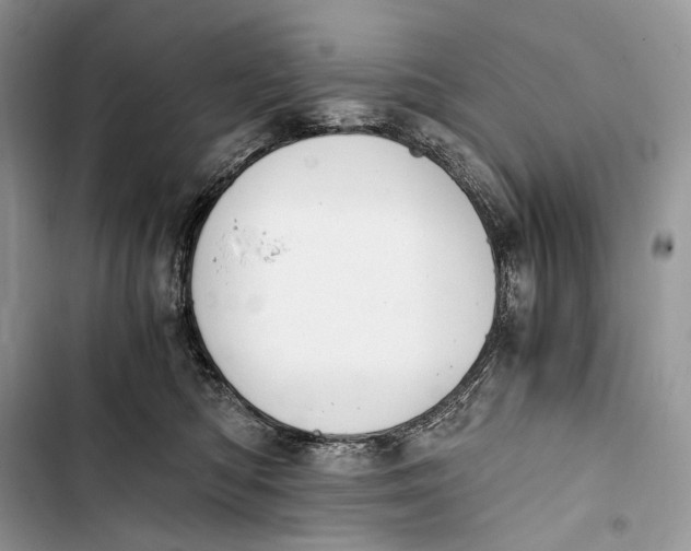 X0000103480422200810031547