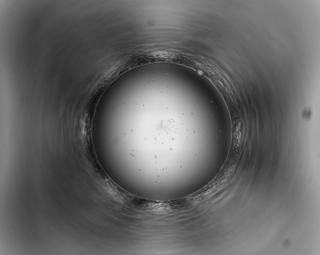 X0000103480424200810031547