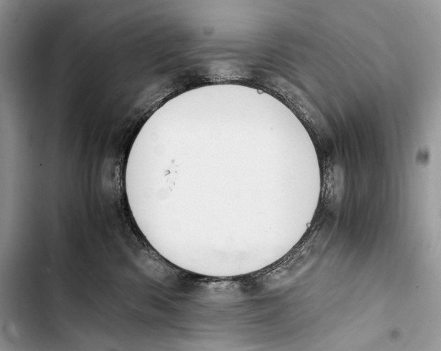 X0000103480426200810031547