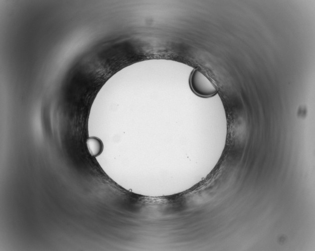 X0000103480429200810031547