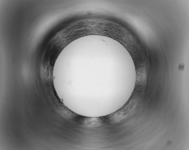 X0000103480431200810031547