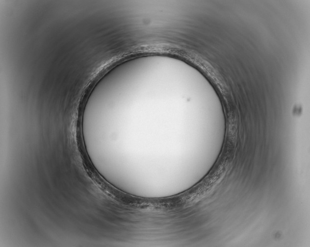 X0000103480434200810031546