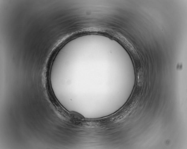 X0000103480436200810031546