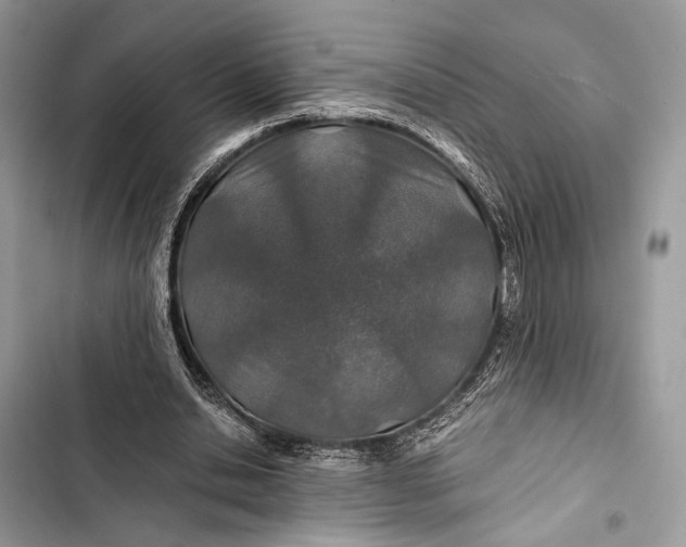 X0000103480438200810031546