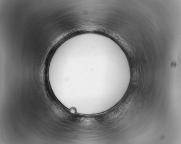 X0000103480440200810031546