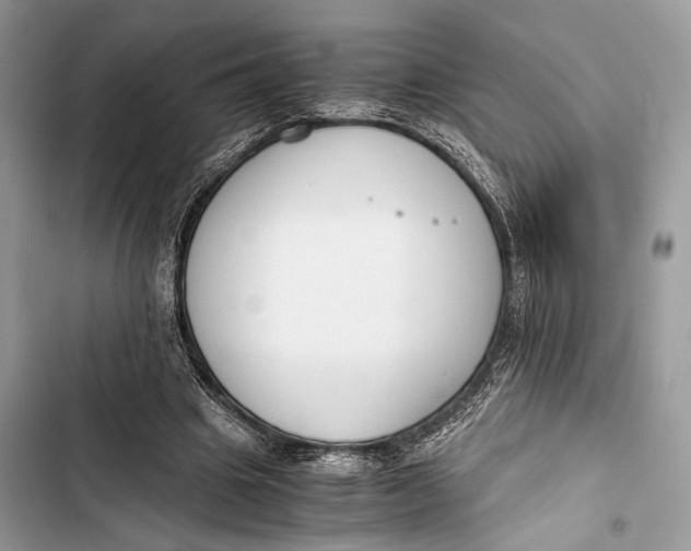 X0000103480441200810031546