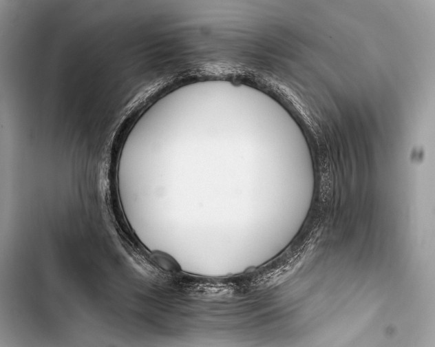 X0000103480443200810031546