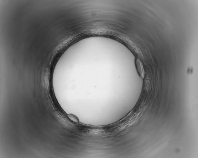 X0000103480446200810031546