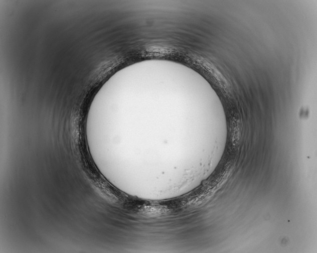 X0000103480455200810031546