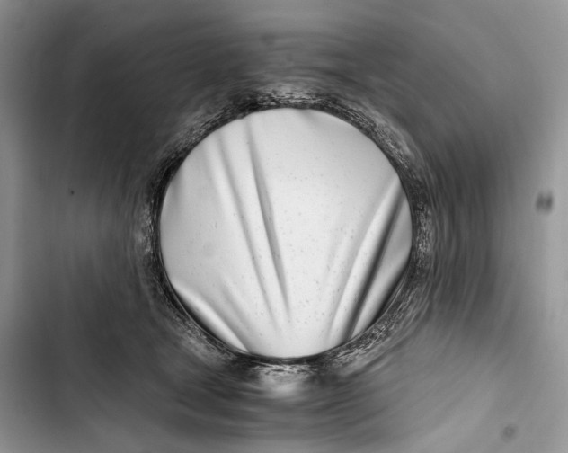 X0000103480465200810031547