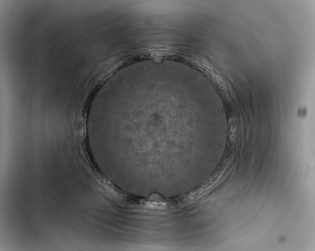 X0000103480471200810031547