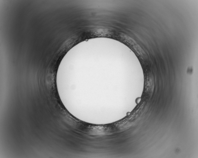 X0000103480473200810031547