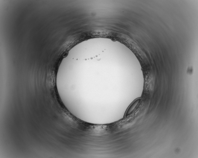 X0000103480474200810031547