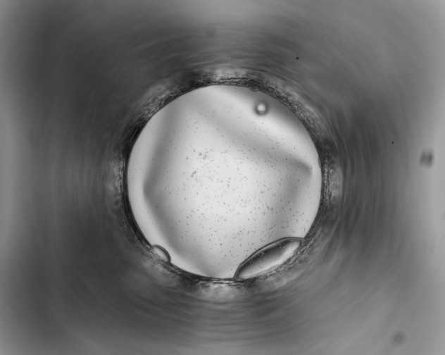 X0000103480475200810031547