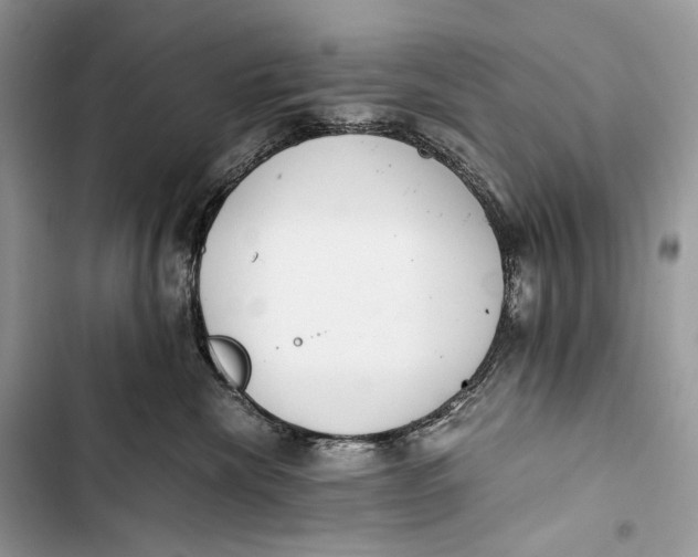 X0000103480476200810031547