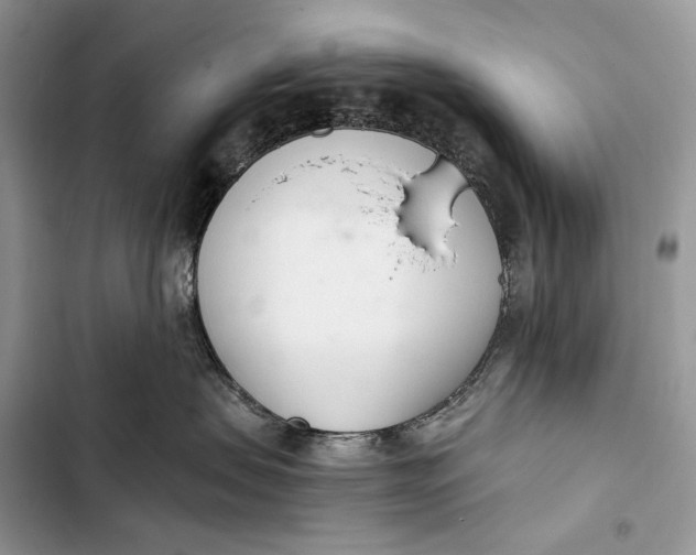 X0000103480479200810031547