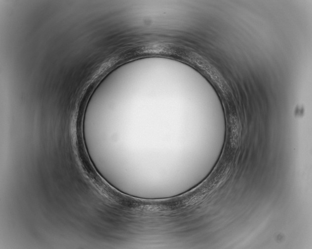 X0000103480482200810031546