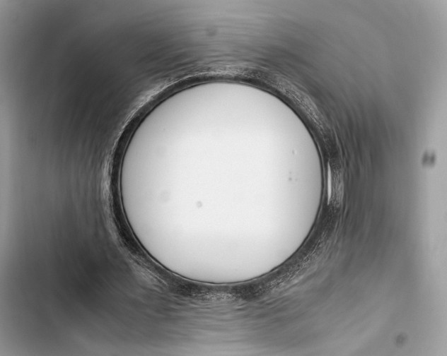 X0000103480483200810031546