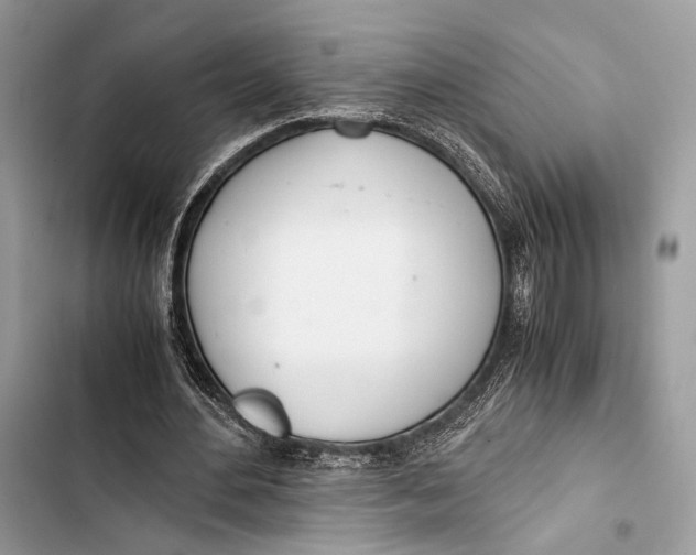 X0000103480484200810031546