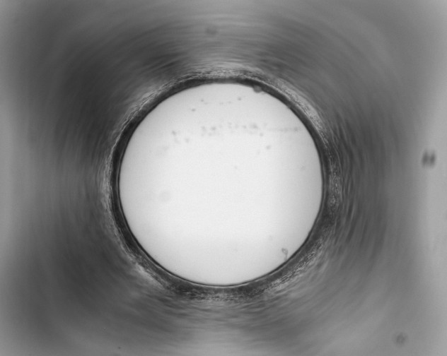 X0000103480485200810031546