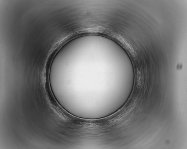 X0000103480486200810031546