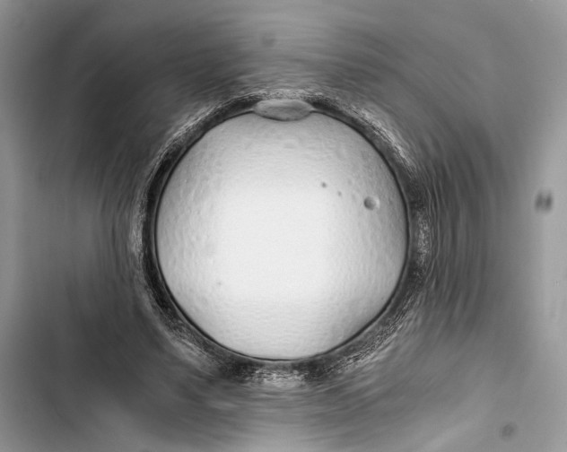 X0000103480491200810031546