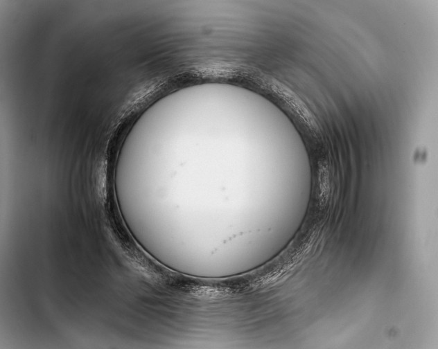 X0000103480494200810031546