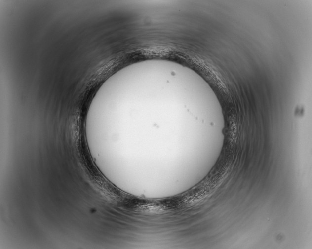 X0000103480498200810031546