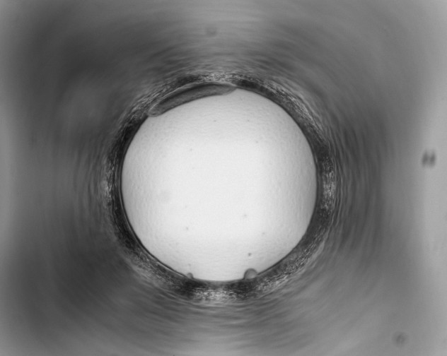 X0000103480503200810031546