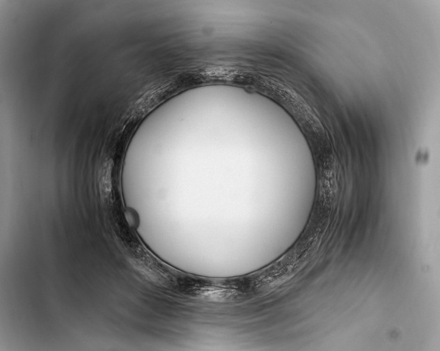 X0000103480504200810031546