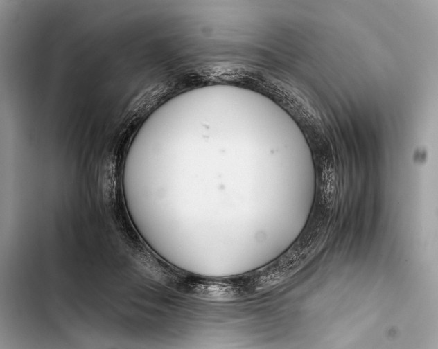 X0000103480506200810031546