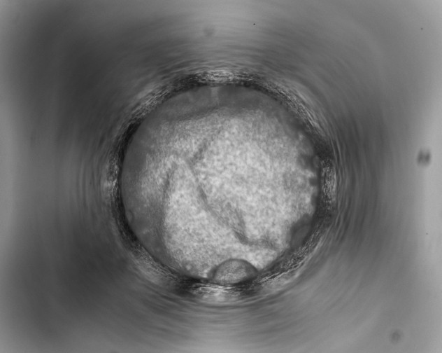 X0000103480507200810031546