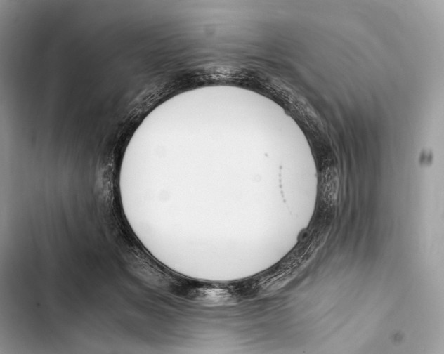 X0000103480509200810031546