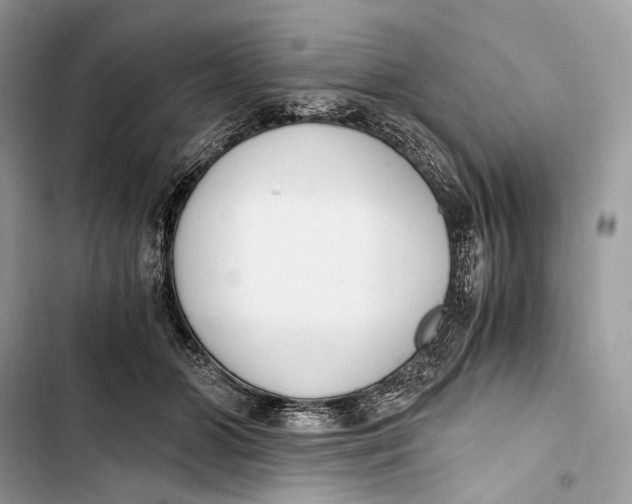 X0000103480510200810031546