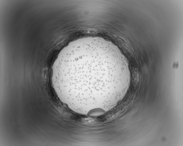 X0000103480511200810031546