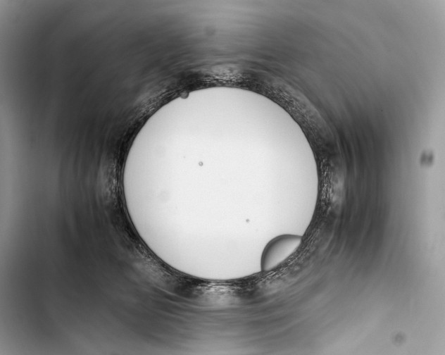 X0000103480518200810031546