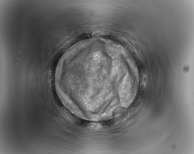 X0000103480519200810031546