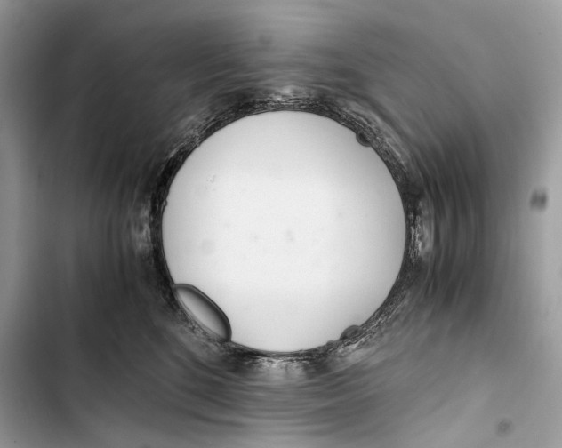 X0000103480520200810031546