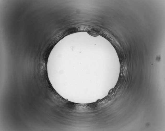 X0000103480521200810031546