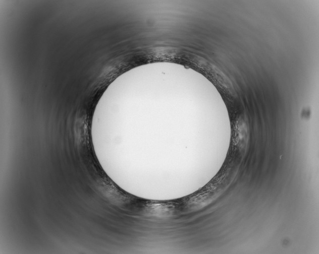 X0000103480522200810031545