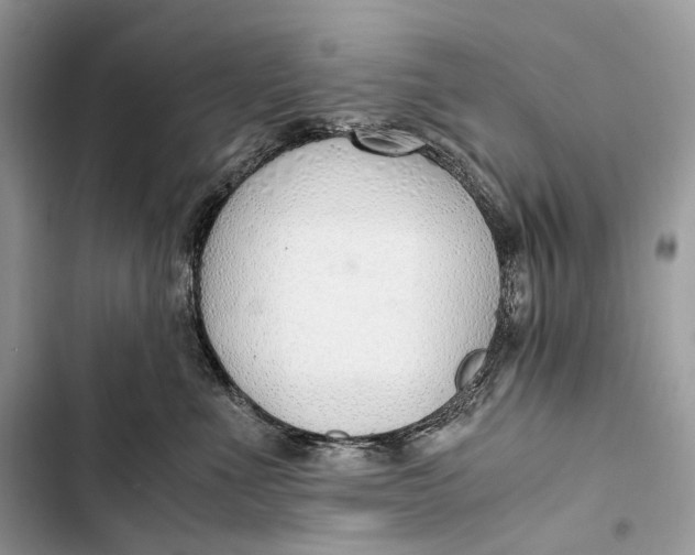 X0000103480523200810031545