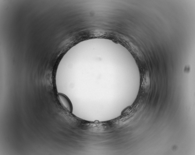 X0000103480524200810031545