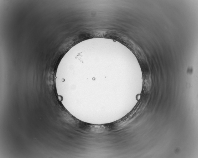 X0000103480525200810031545