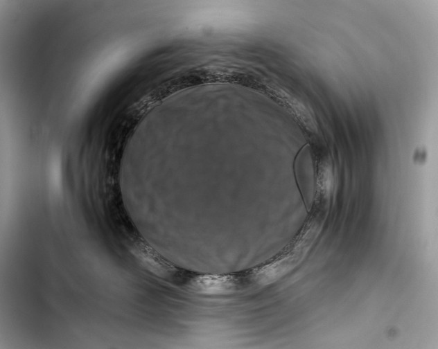 X0000103480526200810031545