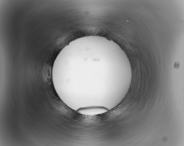 X0000103480528200810031545