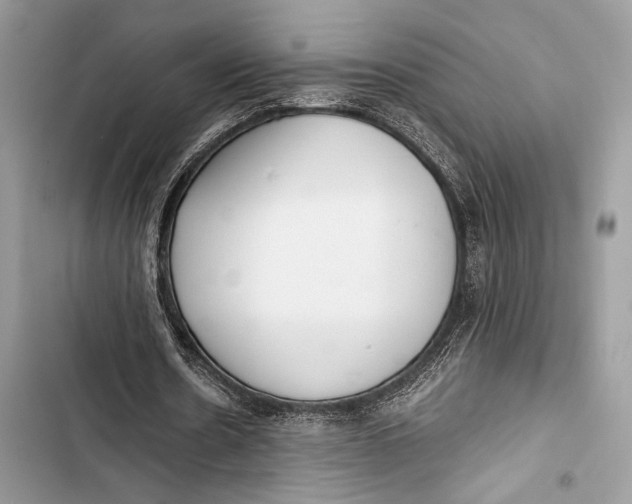 X0000103480530200810031545