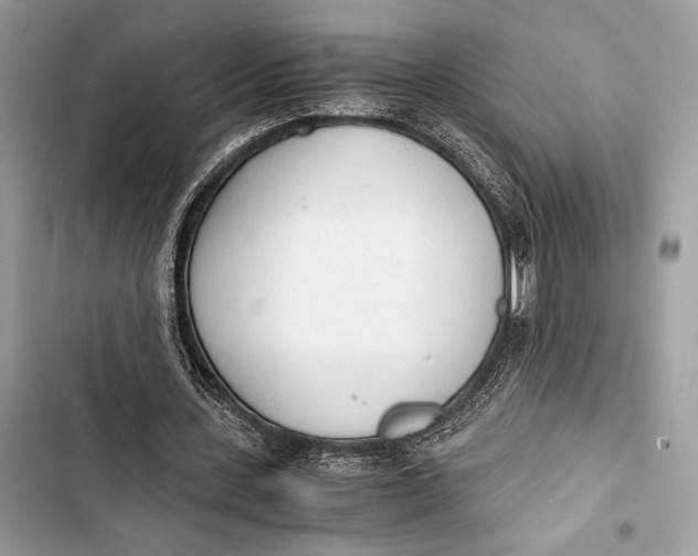 X0000103480531200810031545