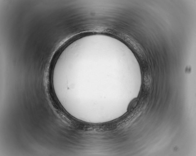 X0000103480532200810031545