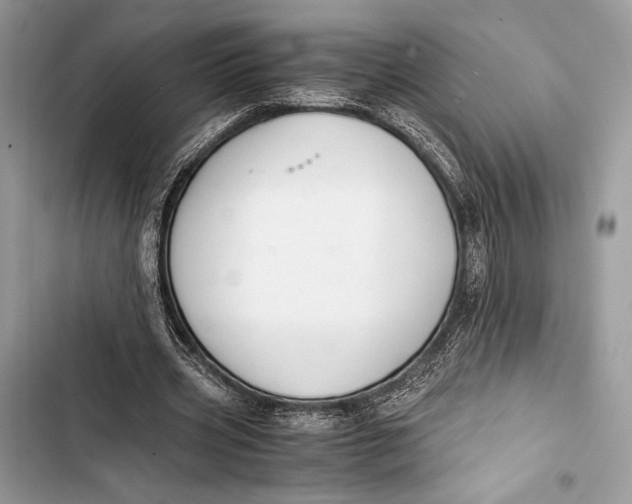 X0000103480533200810031545